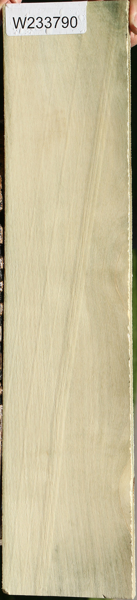 Holly Micro Lumber