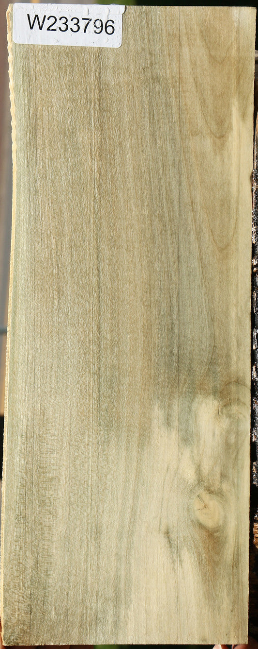 Holly Micro Lumber