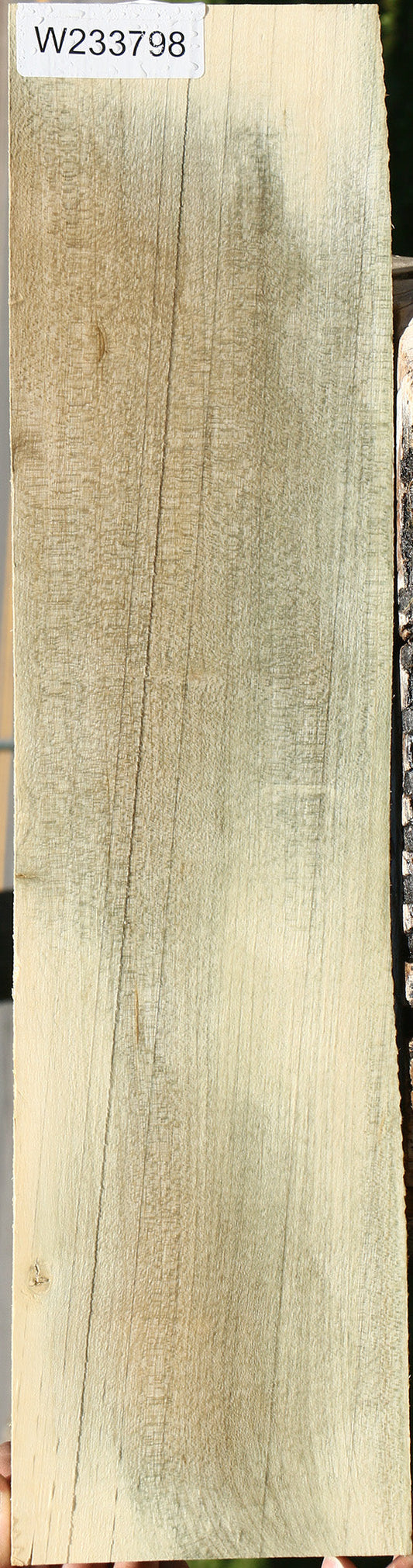 Holly Micro Lumber