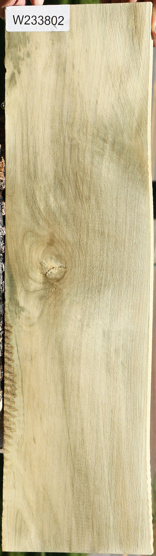 Holly Micro Lumber