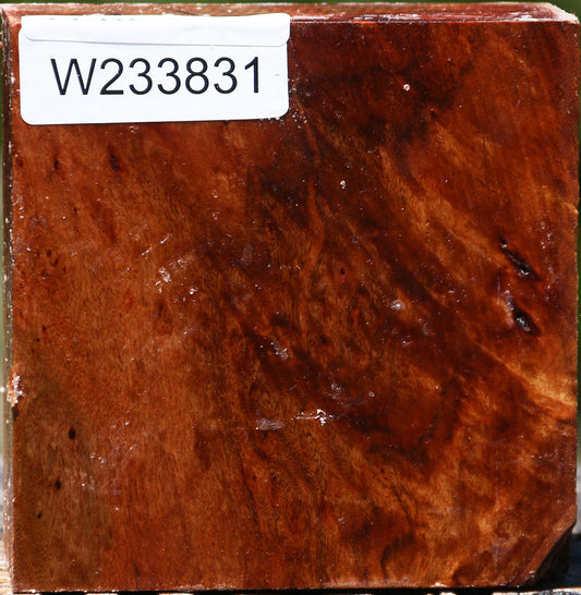 Extra Fancy Brazilian Pepperwood Bowl Blank