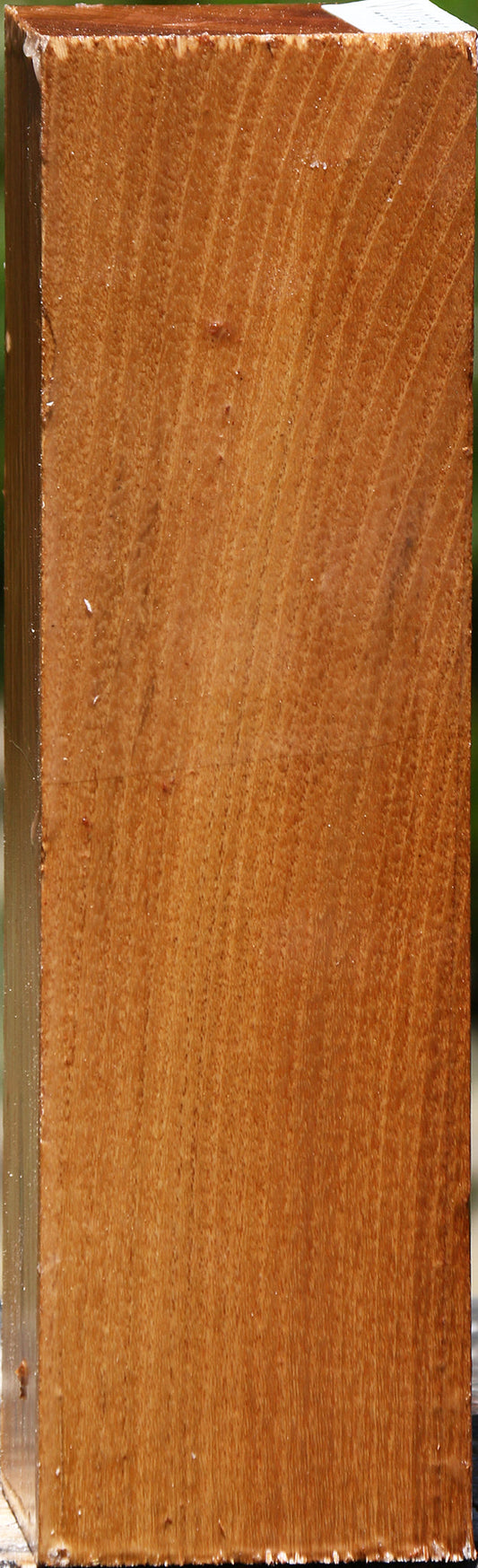 Silver Wattle Peppermill