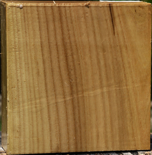 Black Locust Bowl Blank