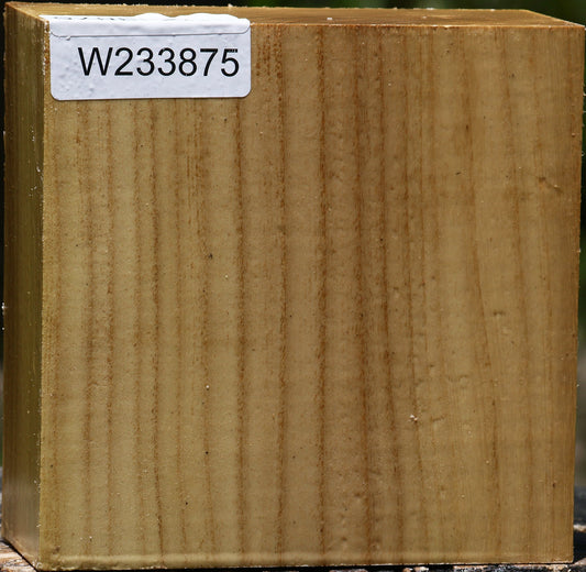 Black Locust Bowl Blank