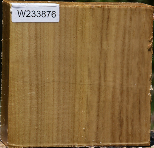 Black Locust Bowl Blank