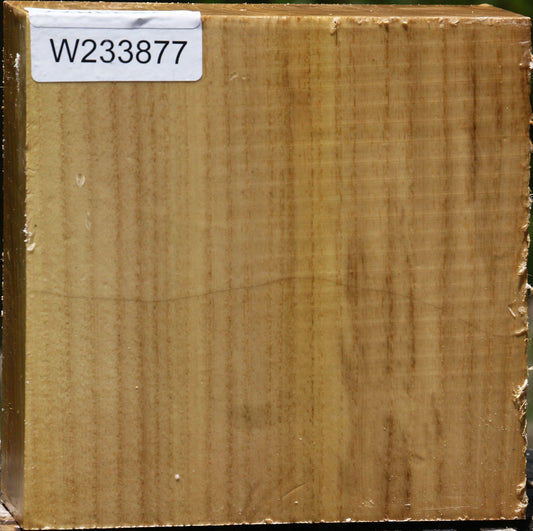 Black Locust Bowl Blank