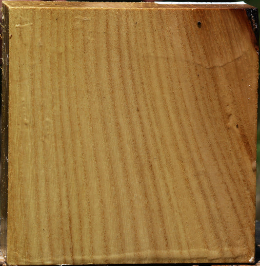 Black Locust Bowl Blank