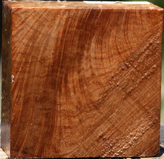 Extra Fancy Crotchwood Brazilian Pepperwood Bowl Blank