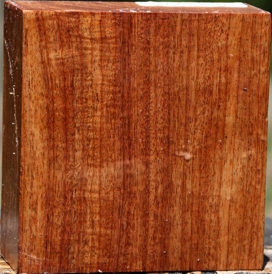 Macacauba Bowl Blank