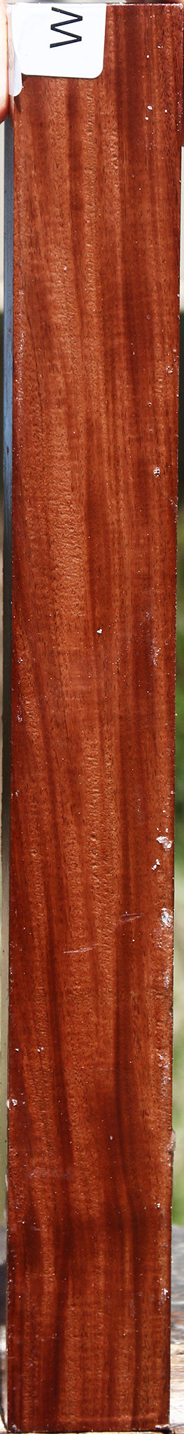 Macacauba Turning Square