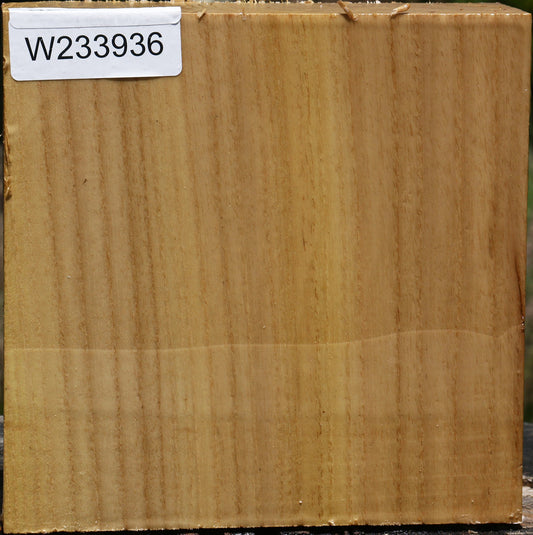 Silver Wattle Bowl Blank