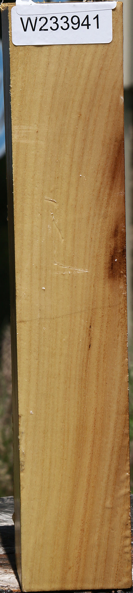 Silver Wattle Peppermill