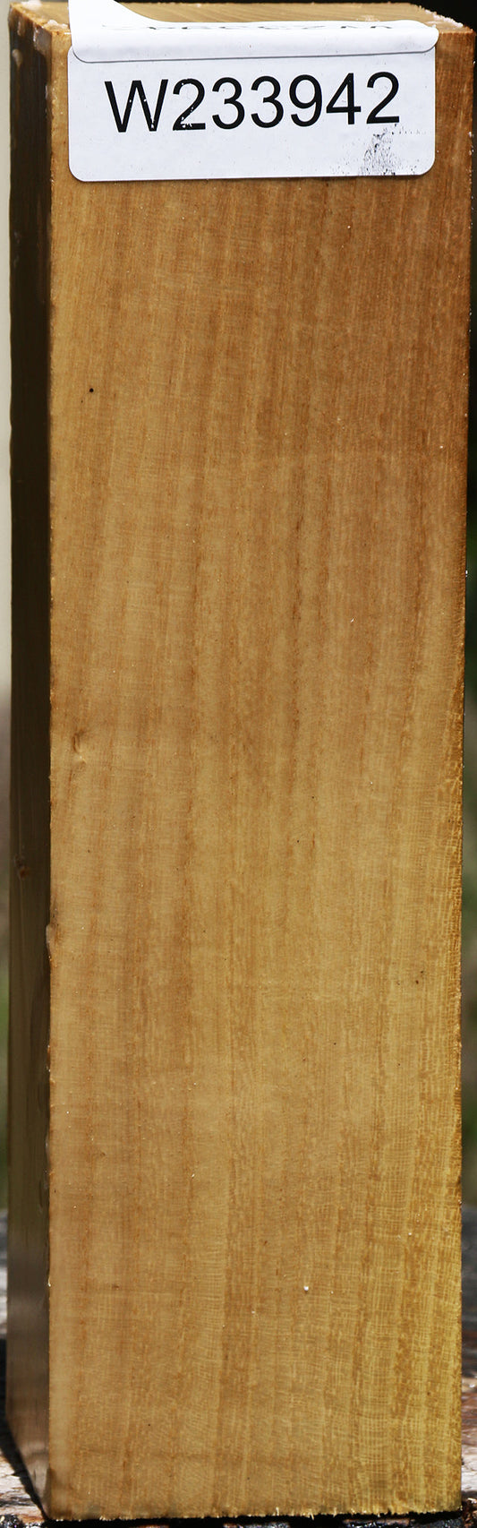 Silver Wattle Peppermill