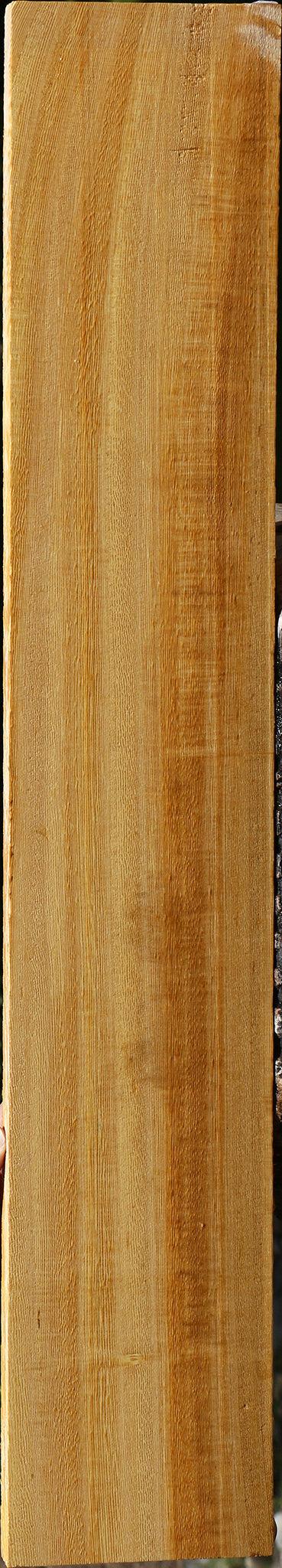 Figured White Wenge Lumber