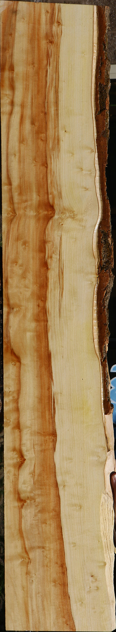 Extra Fancy Box Elder Live Edge Lumber