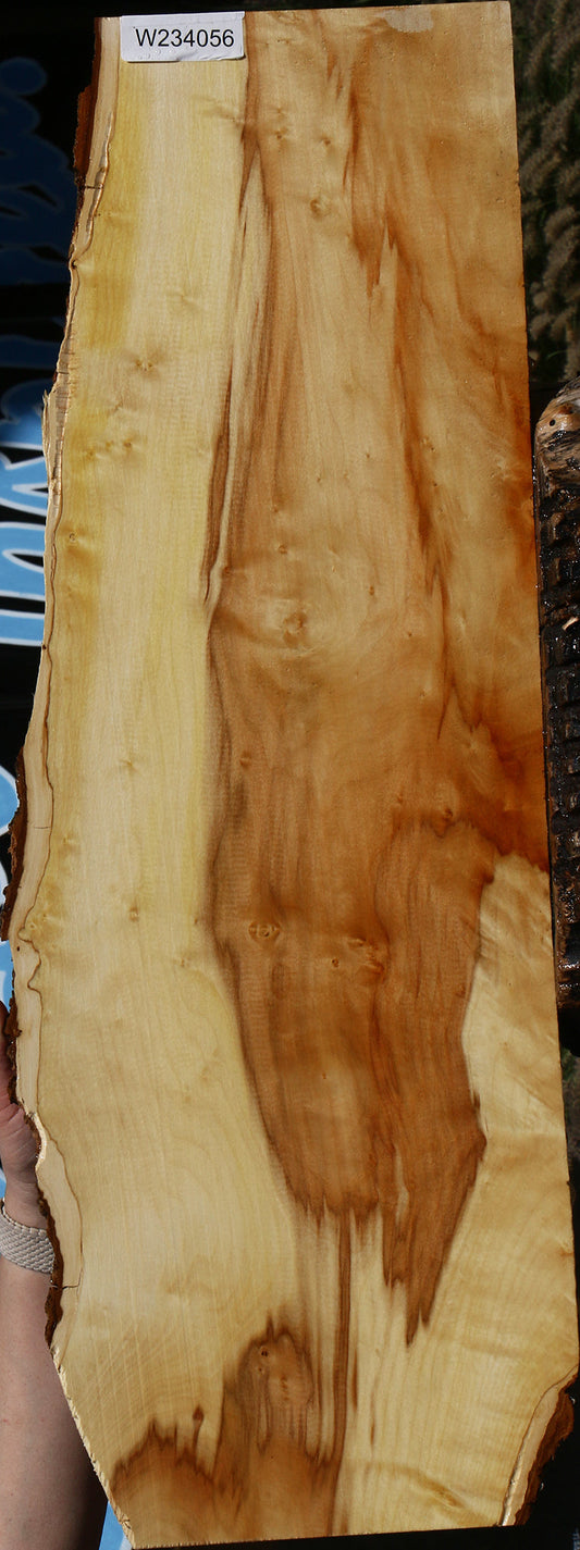 Extra Fancy Box Elder Live Edge Lumber