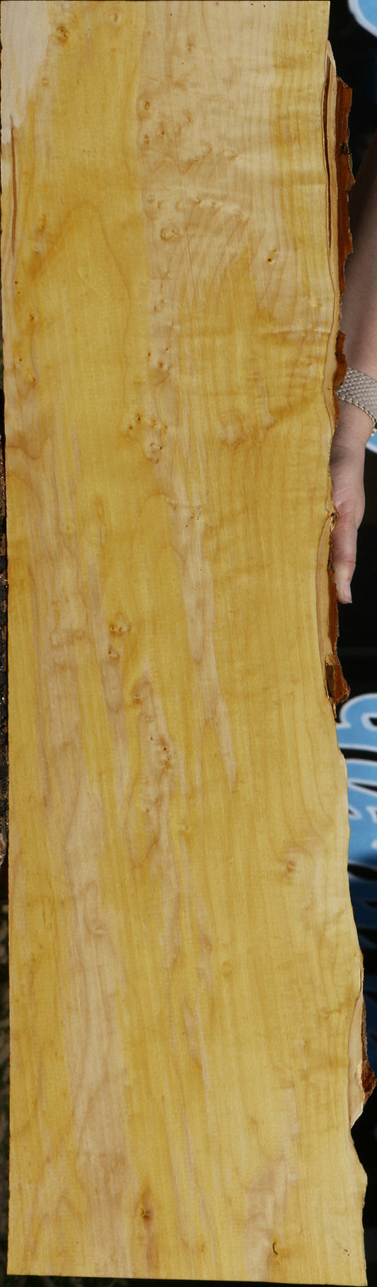 Figured Box Elder Live Edge Lumber