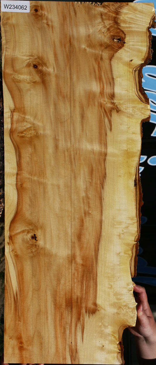 Extra Fancy Box Elder Live Edge Lumber