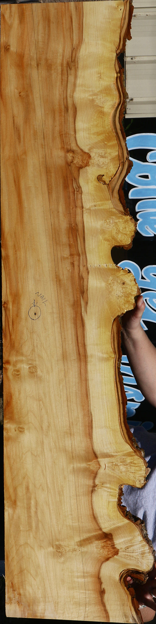 Extra Fancy Box Elder Live Edge Lumber