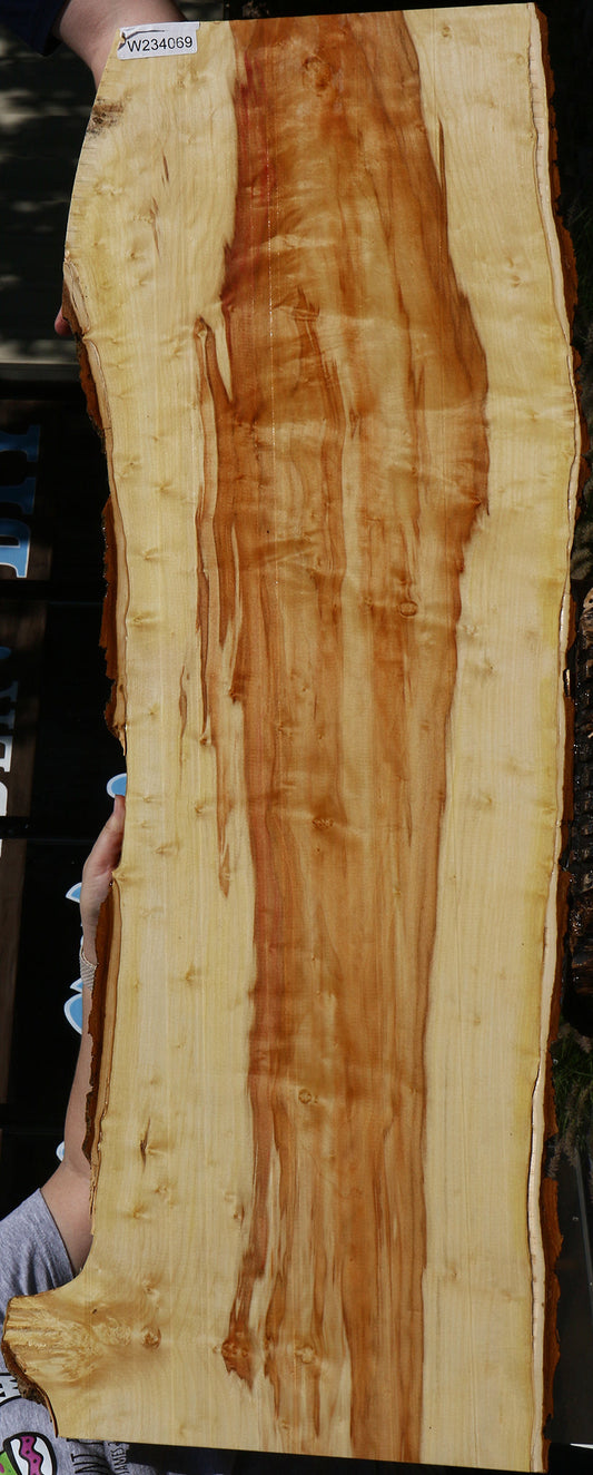 Extra Fancy Box Elder Live Edge Lumber