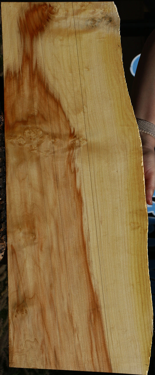 Figured Box Elder Live Edge Lumber