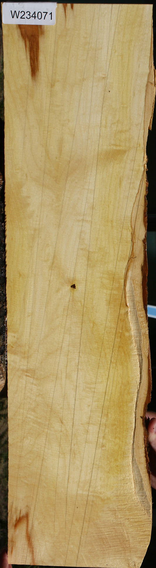 Figured Box Elder Live Edge Lumber