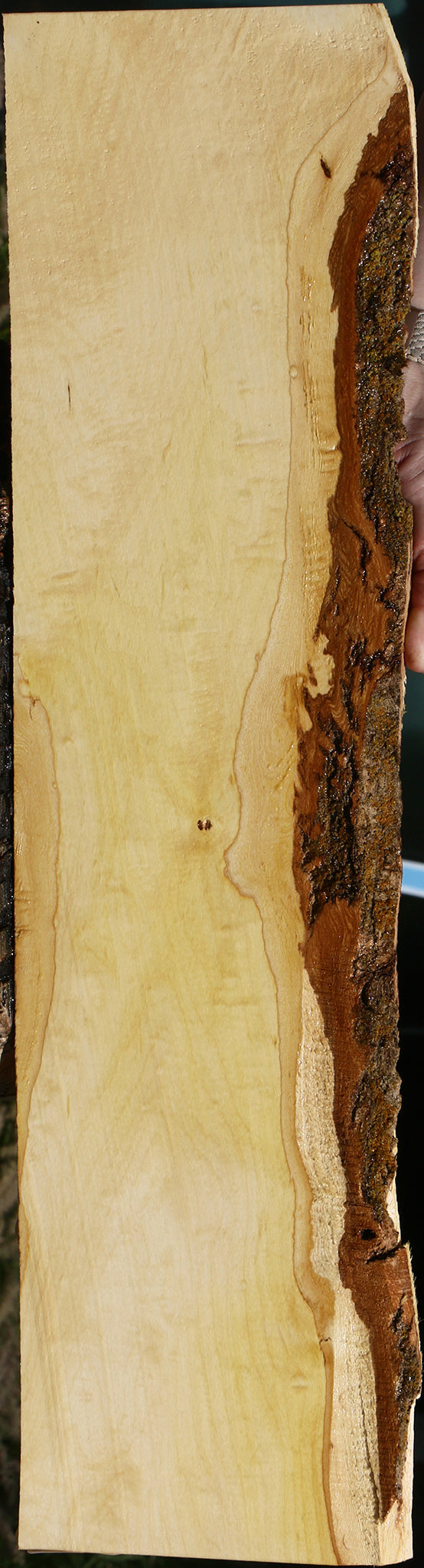 Figured Box Elder Live Edge Lumber