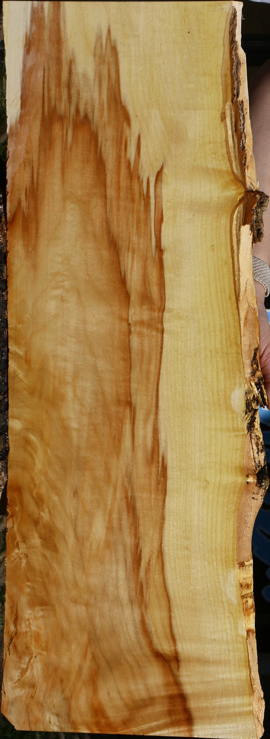 Extra Fancy Box Elder Live Edge Lumber