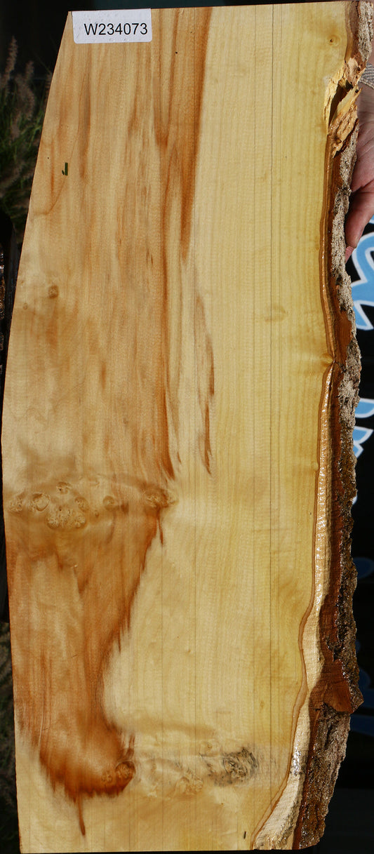 Figured Box Elder Live Edge Lumber