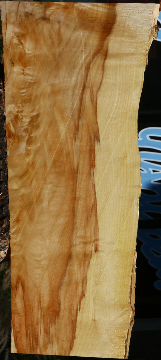 Extra Fancy Box Elder Live Edge Micro Lumber
