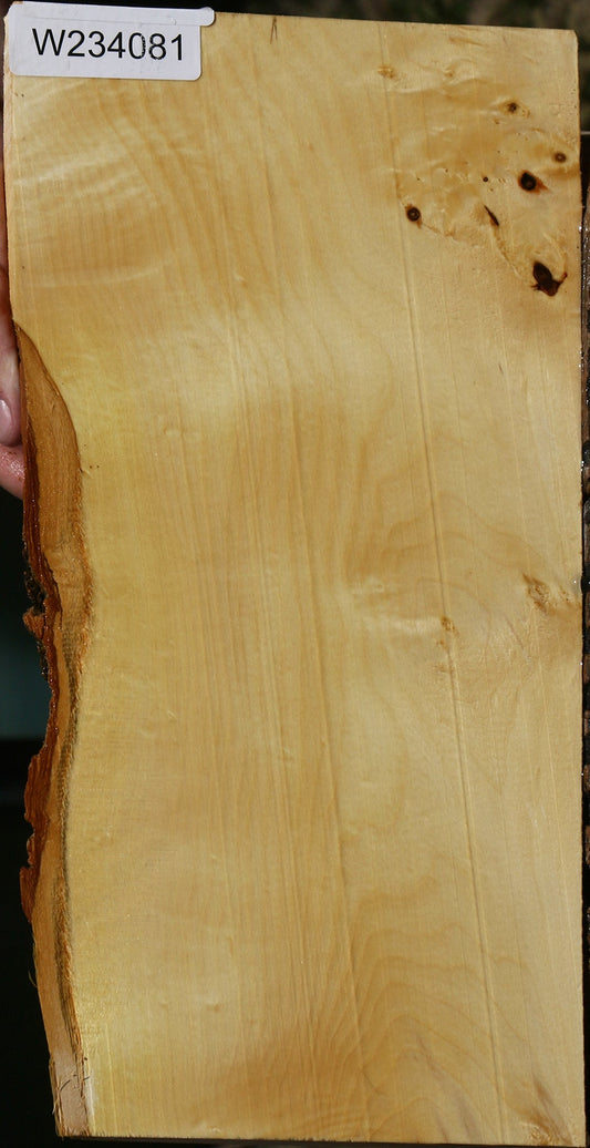 Box Elder Lumber