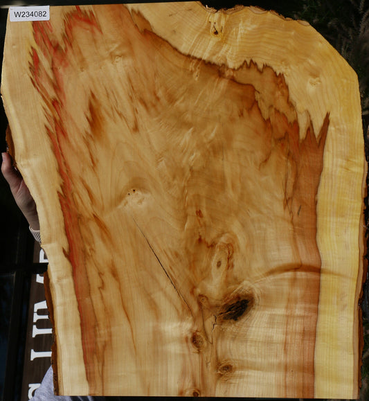 Extra Fancy Box Elder Live Edge Lumber