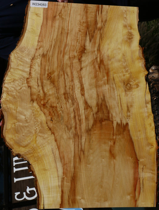 Extra Fancy Box Elder Live Edge Mini Slab