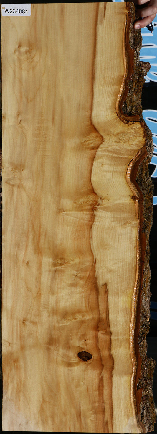 Extra Fancy Box Elder Live Edge Mini Slab