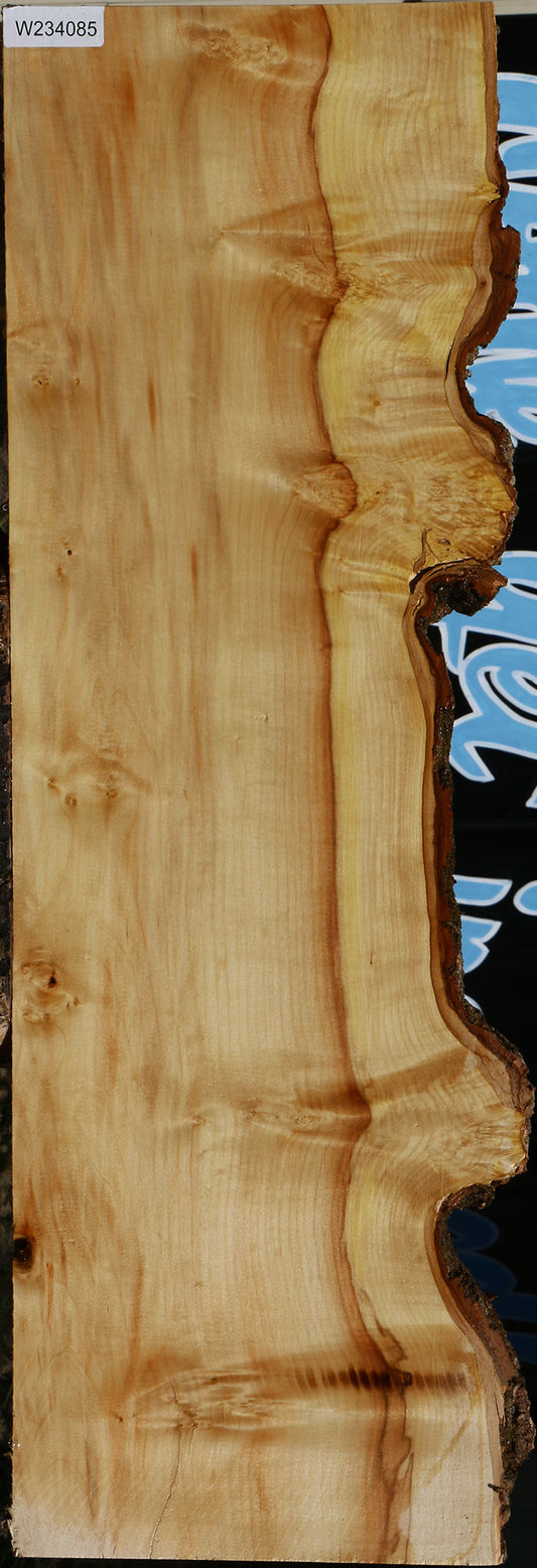 Extra Fancy Box Elder Live Edge Mini Slab