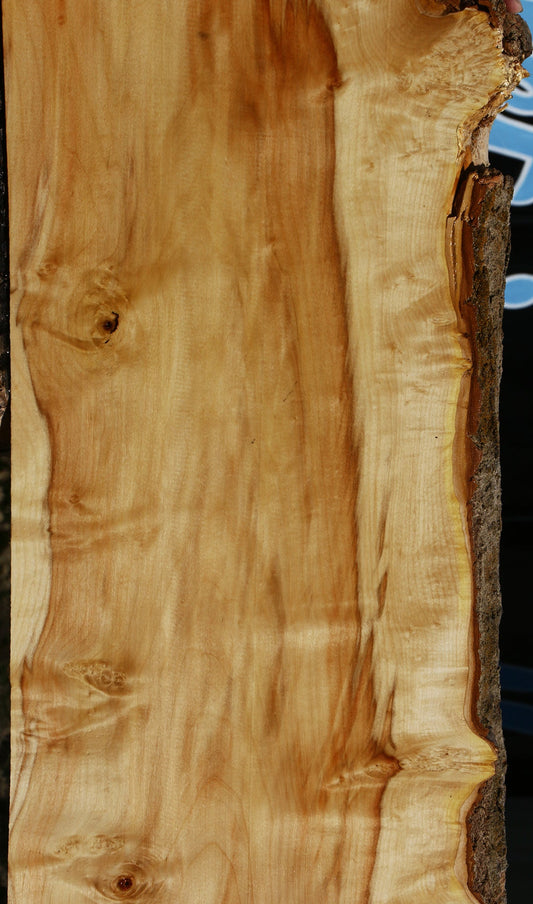 Extra Fancy Box Elder Live Edge Mini Slab