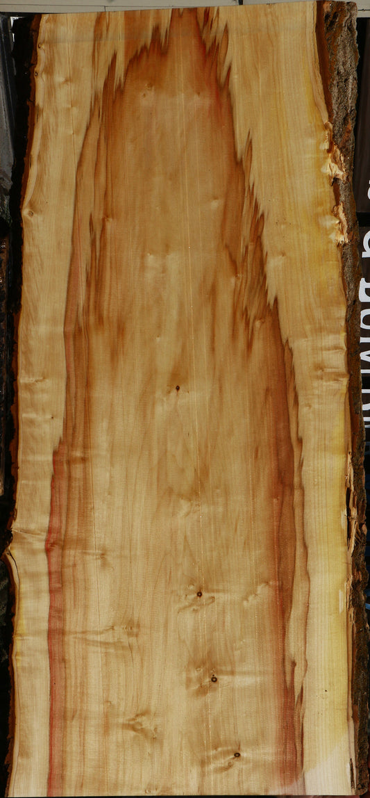 Extra Fancy Box Elder Live Edge Mini Slab