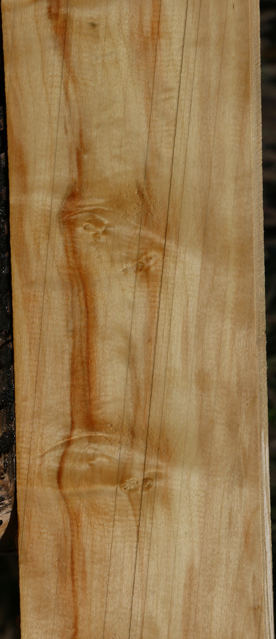 Figured Box Elder Lumber