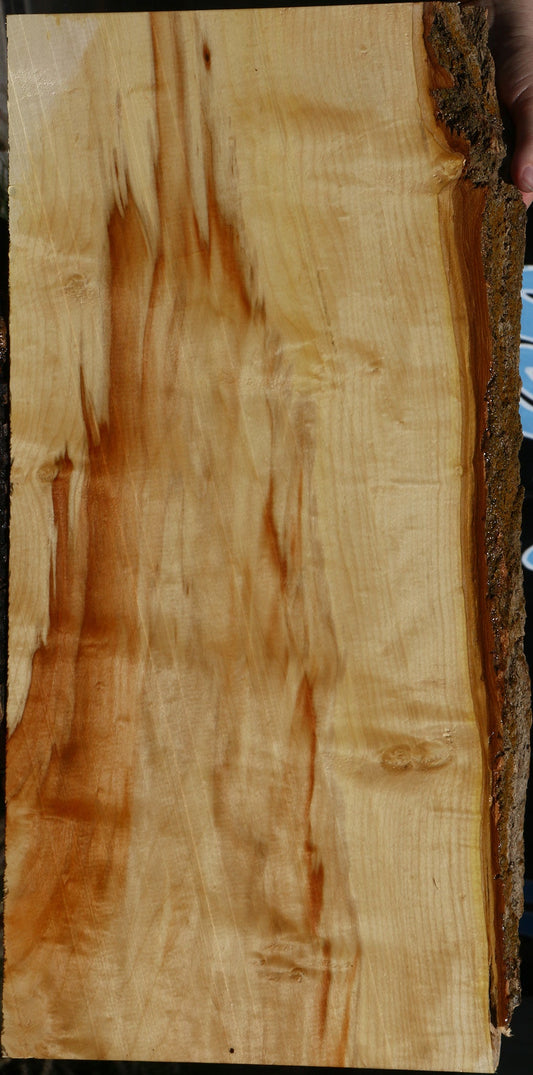 Extra Fancy Box Elder Live Edge Lumber