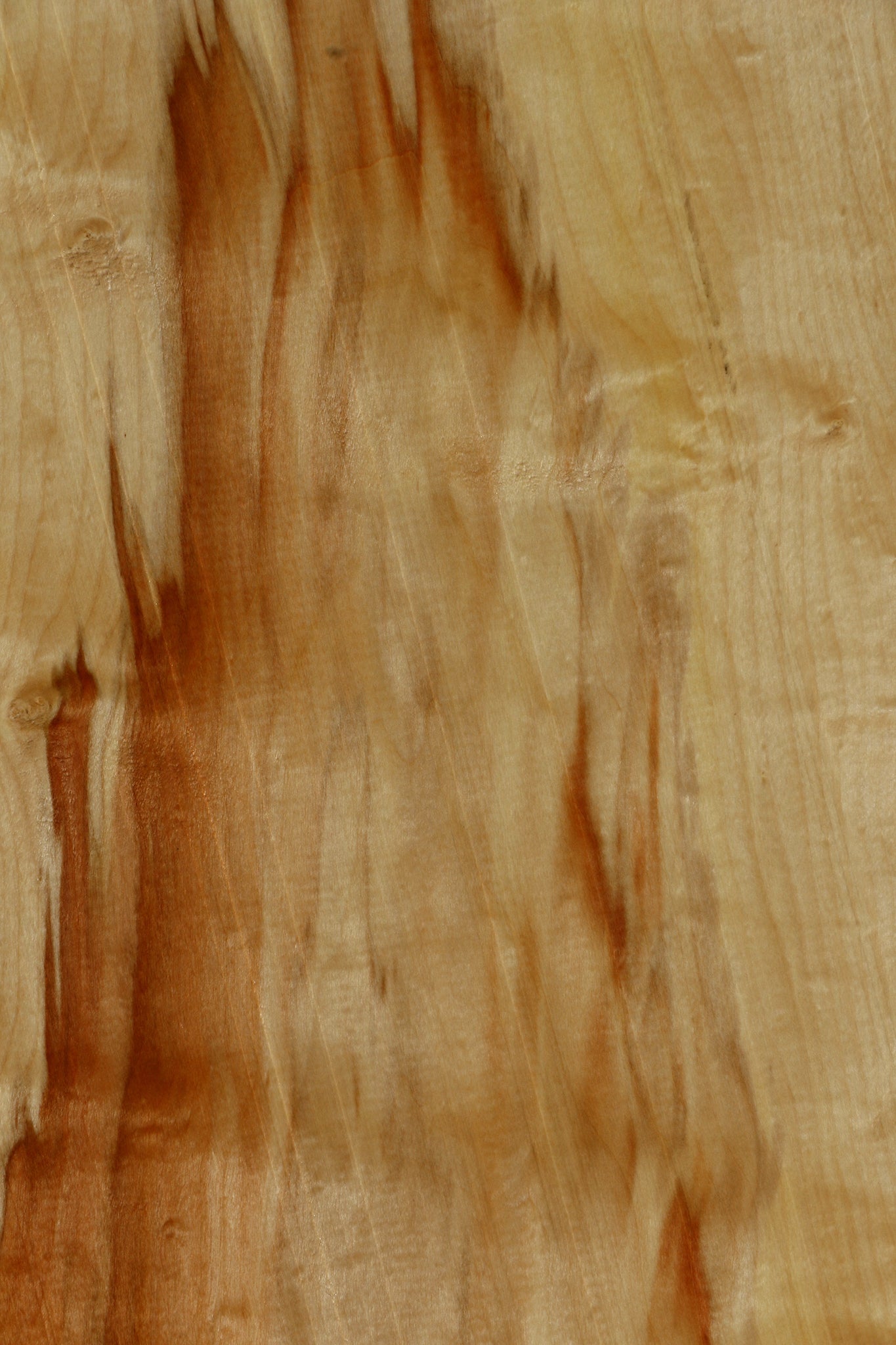 Extra Fancy Box Elder Live Edge Lumber