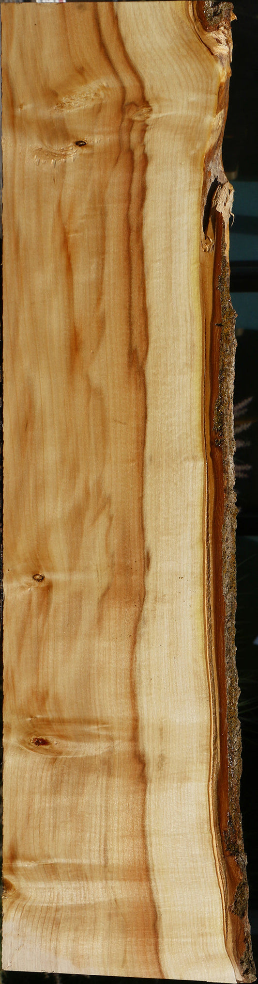 Extra Fancy Box Elder Live Edge Lumber