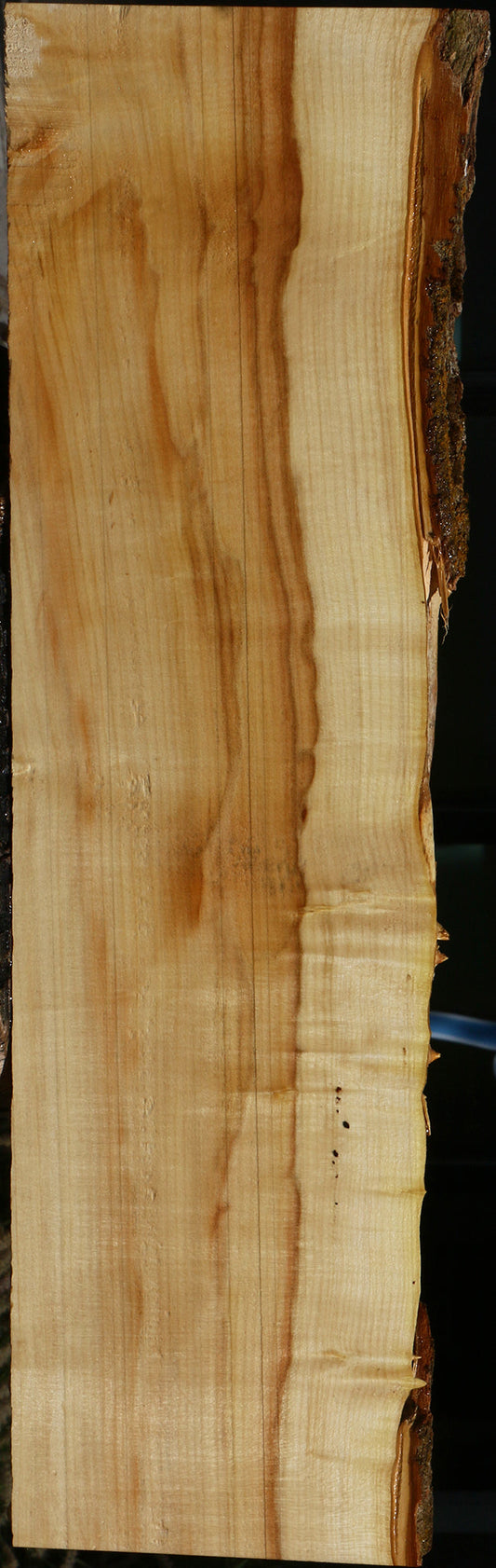 Extra Fancy Box Elder Live Edge Lumber