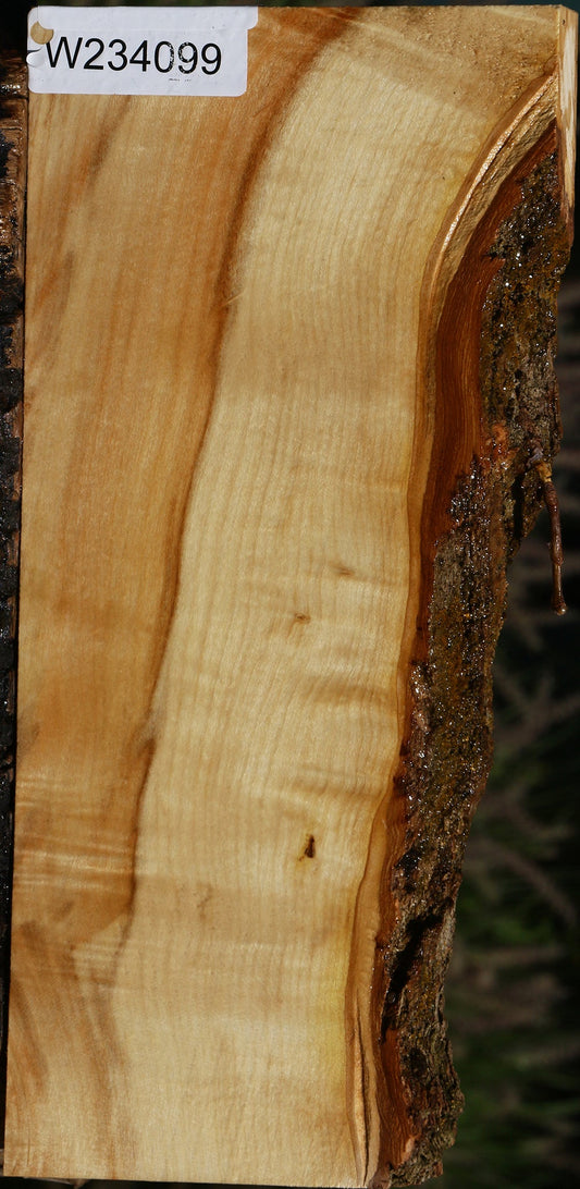 Figured Box Elder Live Edge Lumber