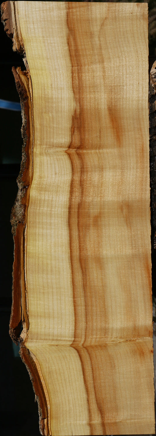 Extra Fancy Box Elder Live Edge Lumber