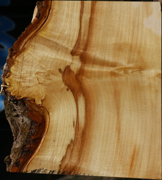 Extra Fancy Box Elder Live Edge Lumber