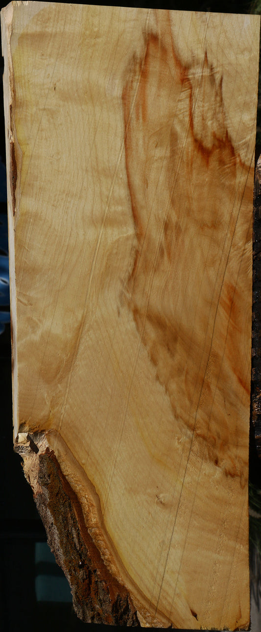 Extra Fancy Box Elder Lumber