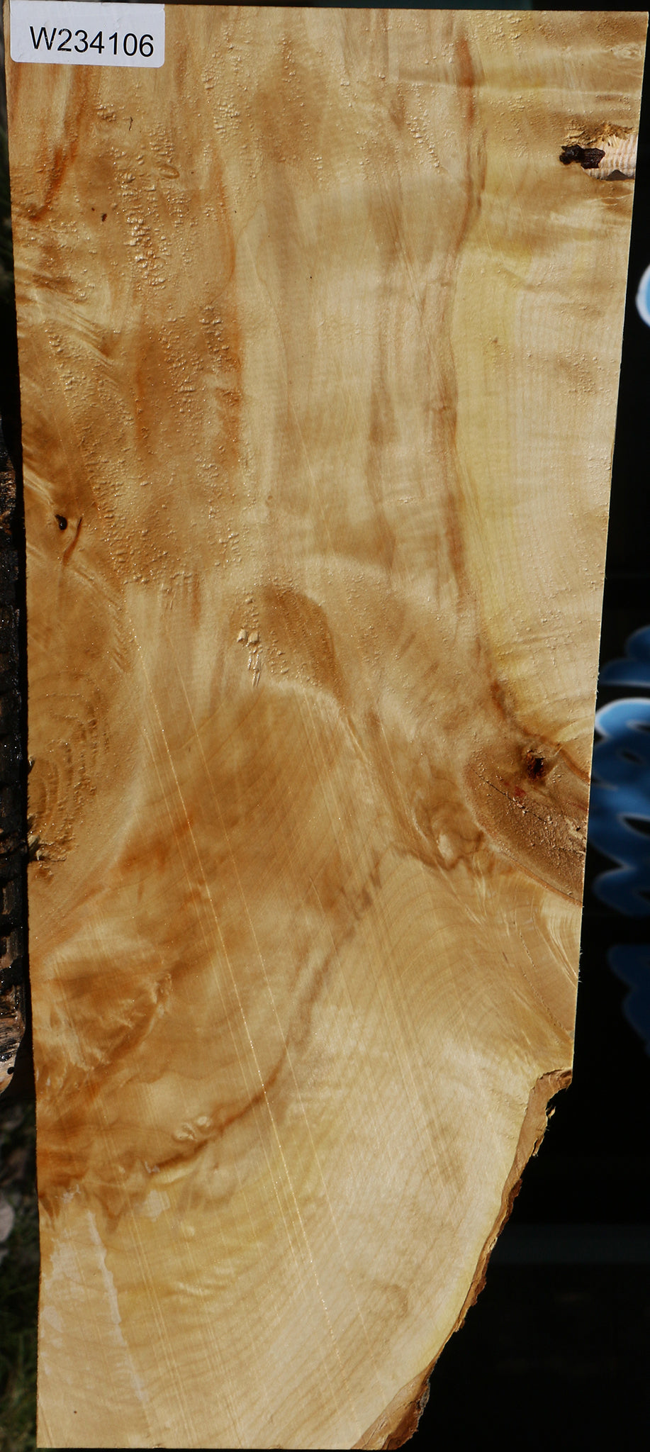 Extra Fancy Box Elder Lumber