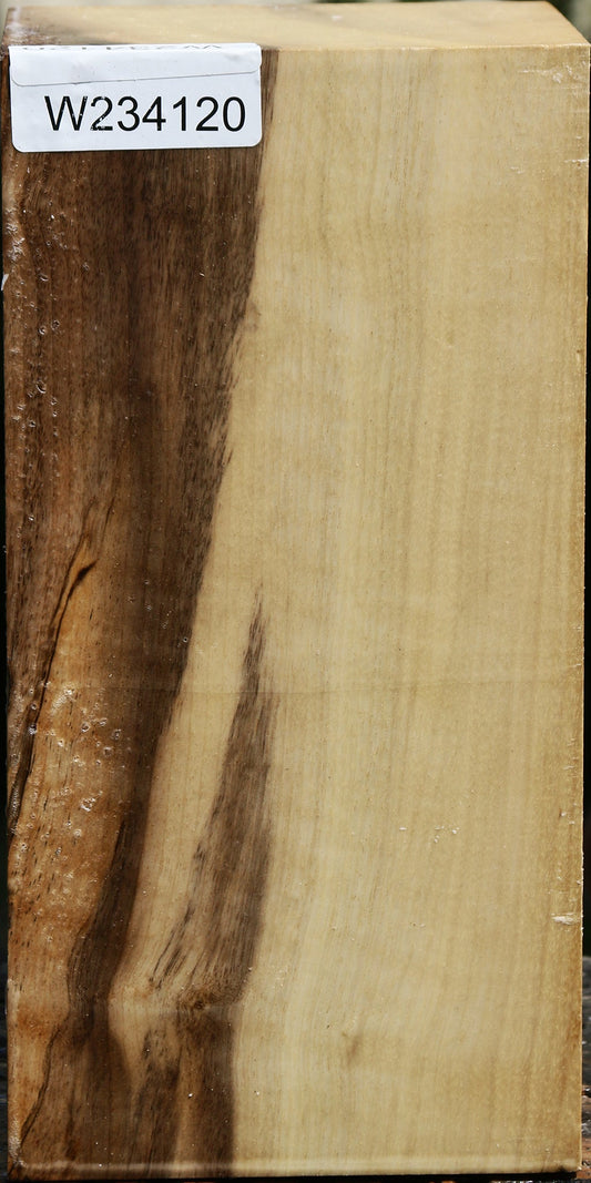 Figured Myrtle Vessel Blank