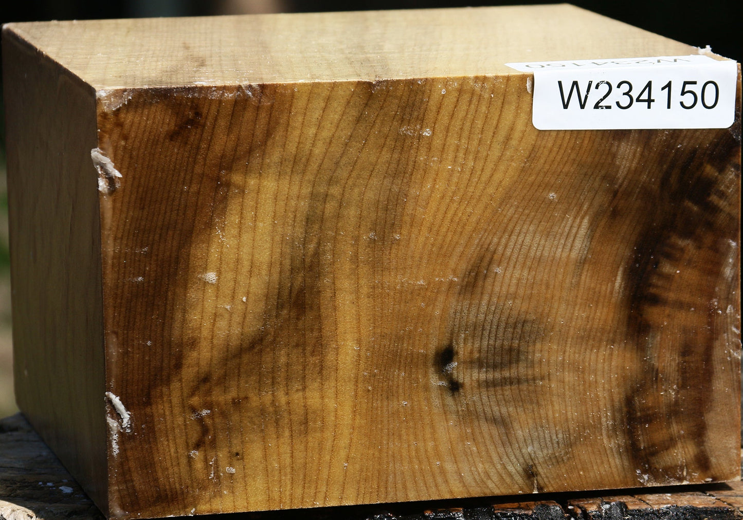 Figured Myrtle Bowl Blank