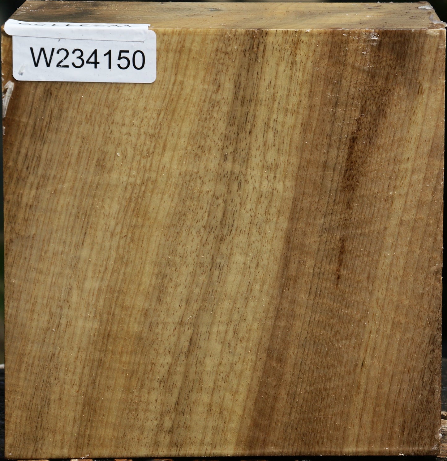 Figured Myrtle Bowl Blank